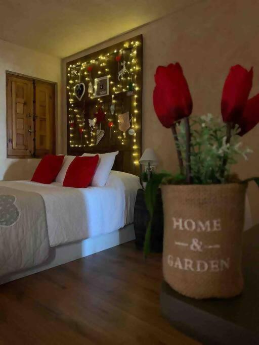 Luxury Danna Plaza Mayor Cuenca  Zewnętrze zdjęcie